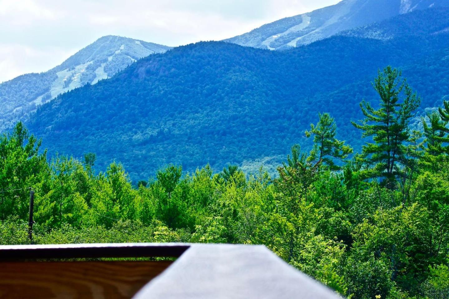 威尔明顿Lookout Mountain Chalet别墅 外观 照片